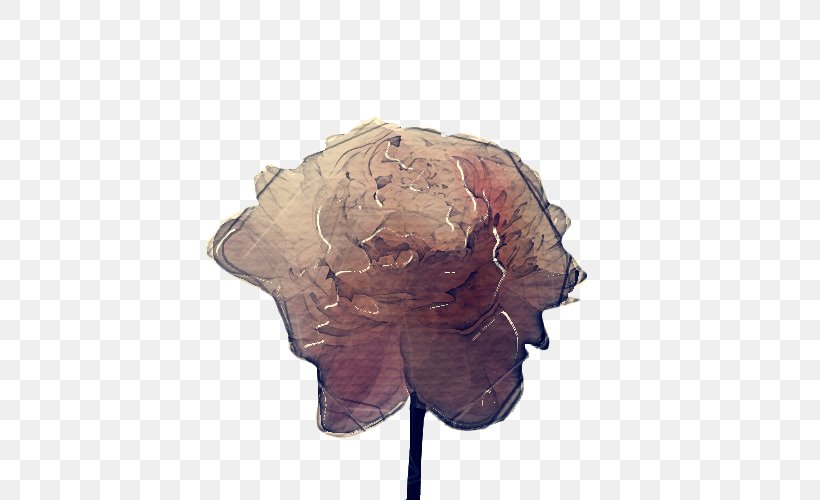 Leaf Head Beige Headgear Tree, PNG, 500x500px, Leaf, Beige, Flower, Head, Headgear Download Free