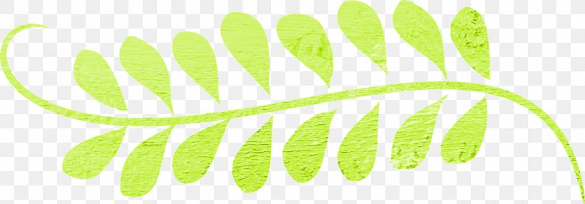 Leaf You're My Boo Snuggle Bunny (A StoryPlay Book), PNG, 1920x670px, Leaf, Essential Oil, Grass, Green, Organism Download Free