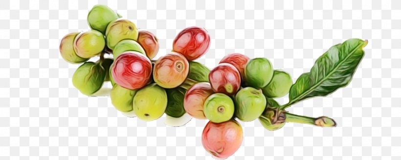 Natural Foods Superfood Fruit Food Plant, PNG, 1280x512px, Watercolor, Bead, Fashion Accessory, Food, Fruit Download Free