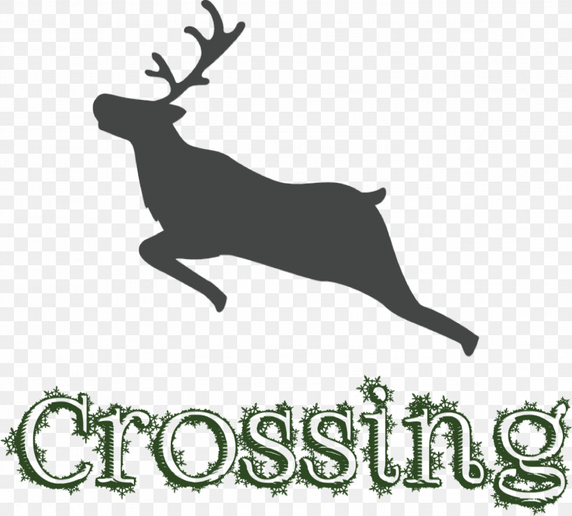 Reindeer, PNG, 2999x2704px, Deer Crossing, Antler, Biology, Black, Deer Download Free