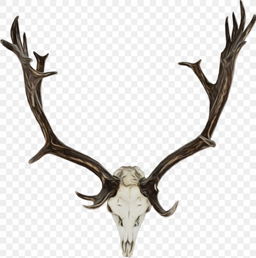 Reindeer, PNG, 890x897px, Watercolor, Antler, Barren Ground Caribou, Bone, Deer Download Free