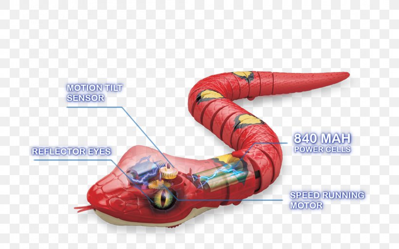Snake Robotic Pet Robot-assisted Surgery Lizard, PNG, 1100x688px, Snake, Animal, Coral Reef Snakes, Lizard, Organism Download Free
