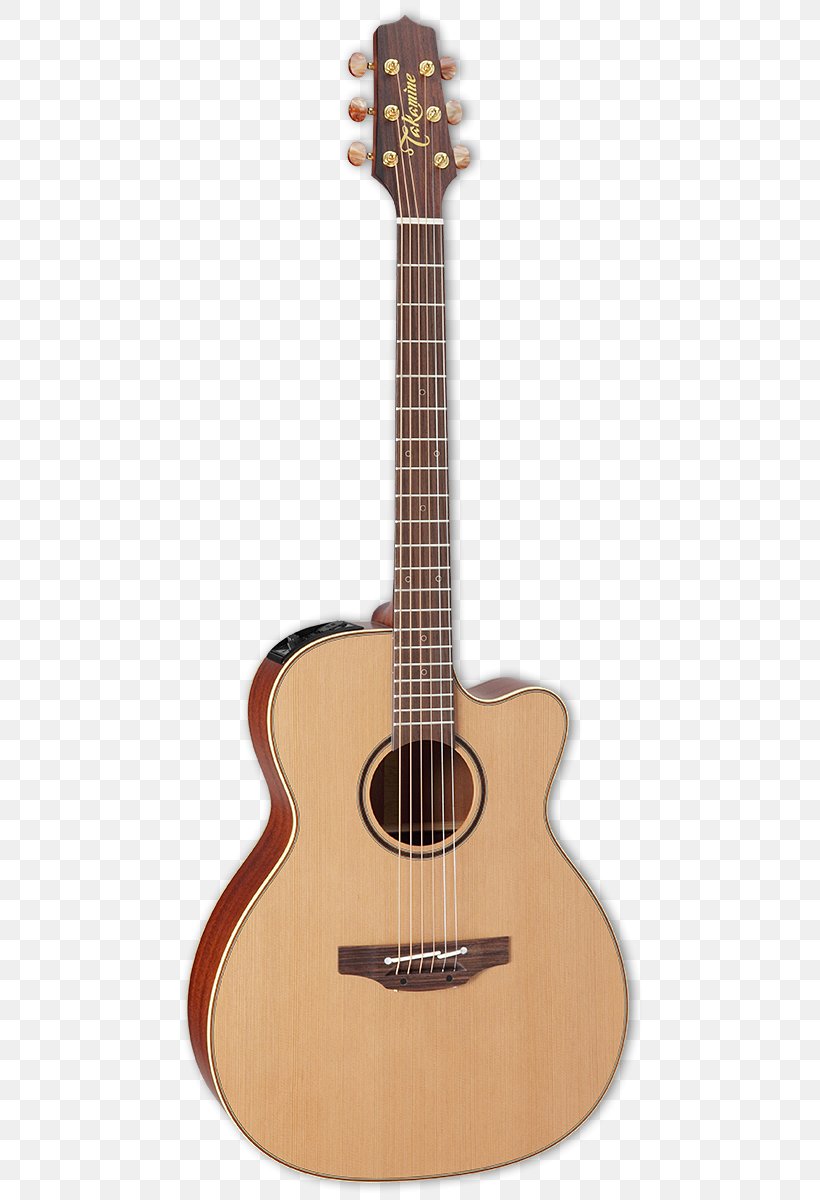 Taylor Guitars Twelve-string Guitar Acoustic Guitar Acoustic-electric Guitar, PNG, 481x1200px, Watercolor, Cartoon, Flower, Frame, Heart Download Free