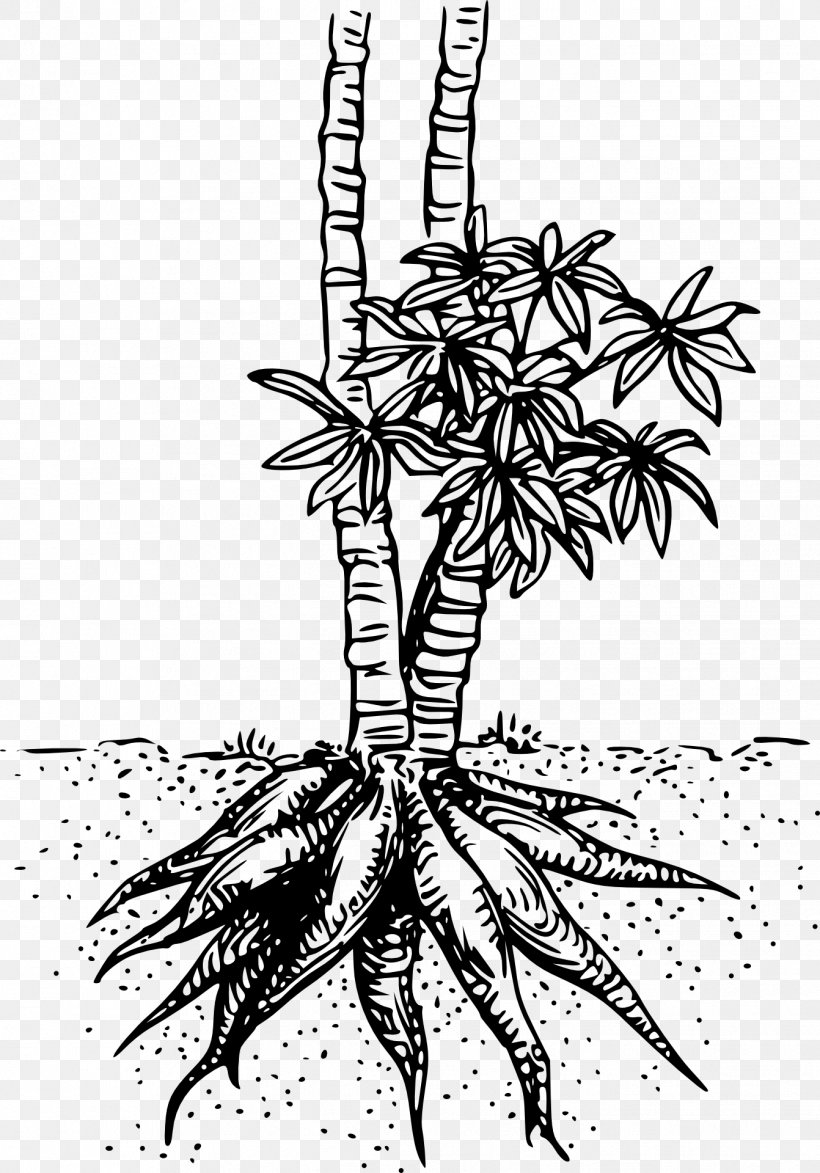 Cassava Clip Art, PNG, 1342x1920px, Cassava, Arrowroot, Artwork, Black And White, Branch Download Free