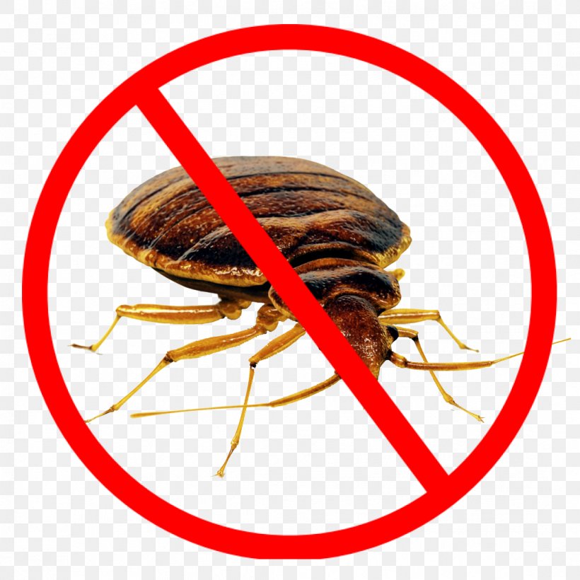 Cockroach Mosquito Pest Control Rat, PNG, 1084x1084px, Cockroach, Bed Bug, Bed Bug Control Techniques, Bitcoin Gold, Business Download Free