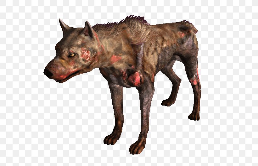 Fallout: New Vegas Fallout 3 Dog Breed Wasteland Chesapeake Bay Retriever, PNG, 742x530px, Fallout New Vegas, Border Collie, Carnivoran, Chesapeake Bay Retriever, Collie Download Free