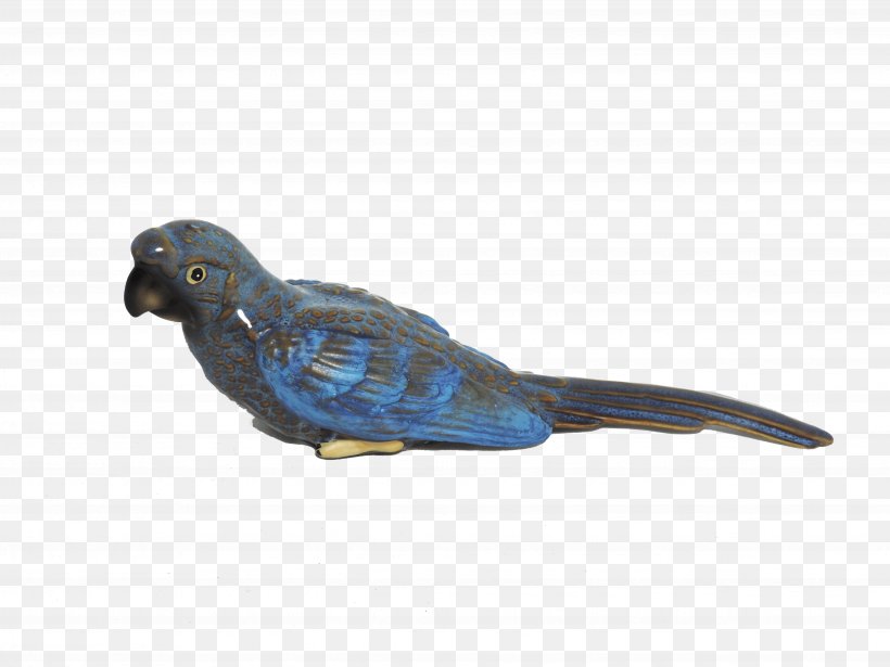 Parakeet Cobalt Blue Feather Beak, PNG, 4896x3672px, Parakeet, Beak, Bird, Blue, Cobalt Download Free