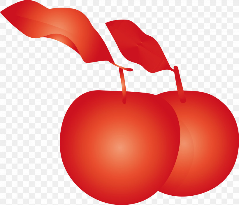 Apple Fruit, PNG, 3000x2570px, Apple, Drupe, Food, Fruit, Plant Download Free
