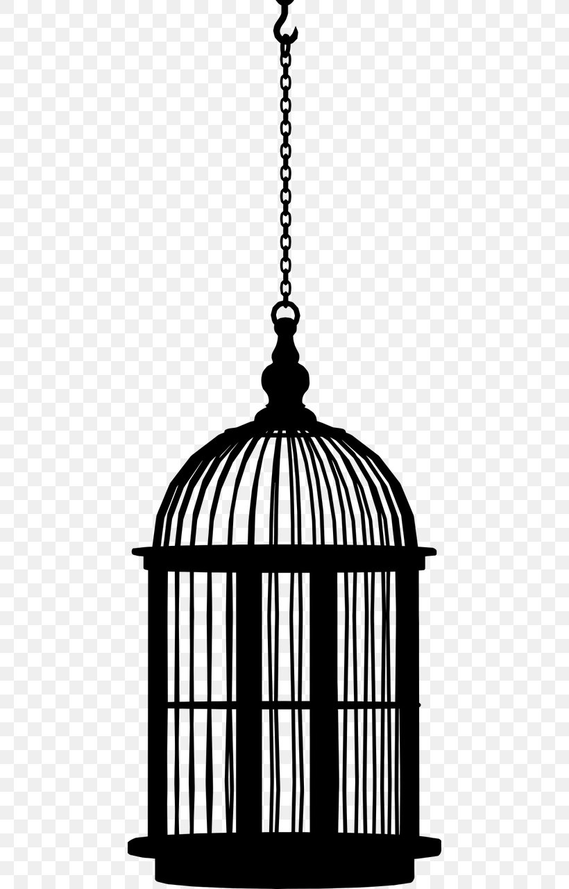 Bird Cage, PNG, 640x1280px, Bird, Birdcage, Cage, Ceiling Fixture, Domestic Canary Download Free