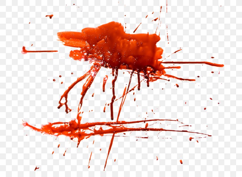 Blood Residue Zenia: For The Cruelty Of Men, PNG, 700x600px, Blood, Blood Residue, Computer, Orange, Splatter Film Download Free