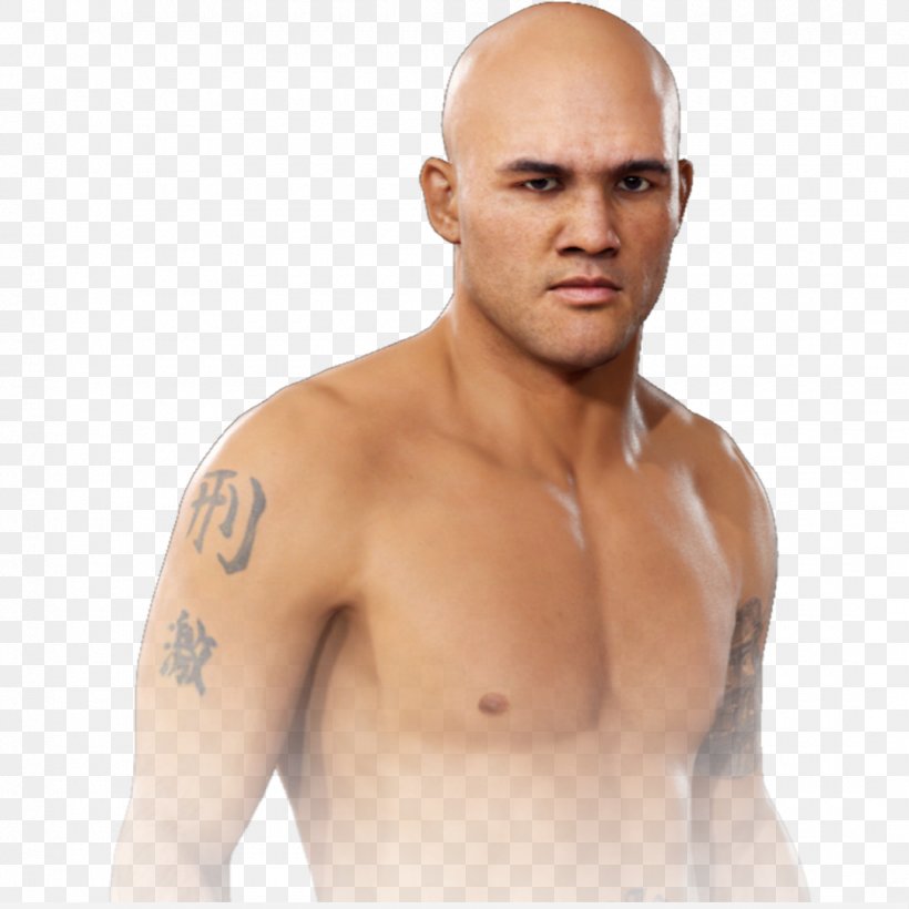 EA Sports UFC 3 Electronic Arts KRIS-TV, PNG, 1080x1080px, Watercolor, Cartoon, Flower, Frame, Heart Download Free