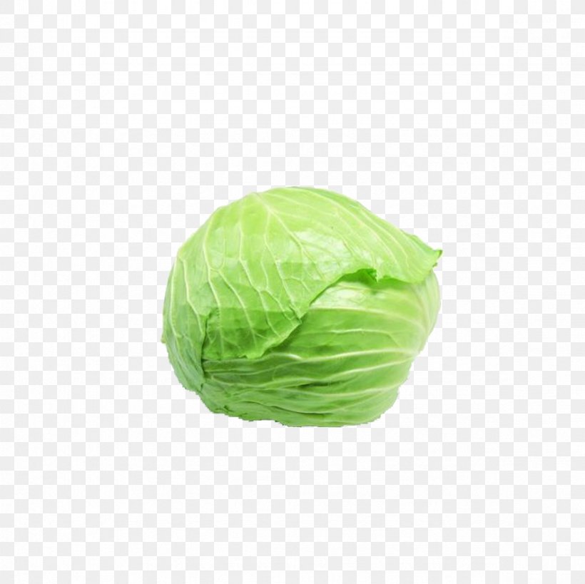 Napa Cabbage Vegetable Kale Coleslaw, PNG, 2362x2362px, Cabbage, Brassica Oleracea, Chinese Cabbage, Coleslaw, Eating Download Free