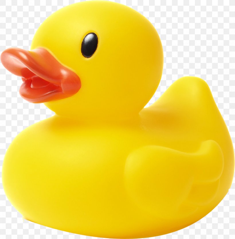 Rubber Duck Stock Photography Natural Rubber Stock.xchng, PNG, 830x846px, Duck, Beak, Bird, Ducks Geese And Swans, Istock Download Free