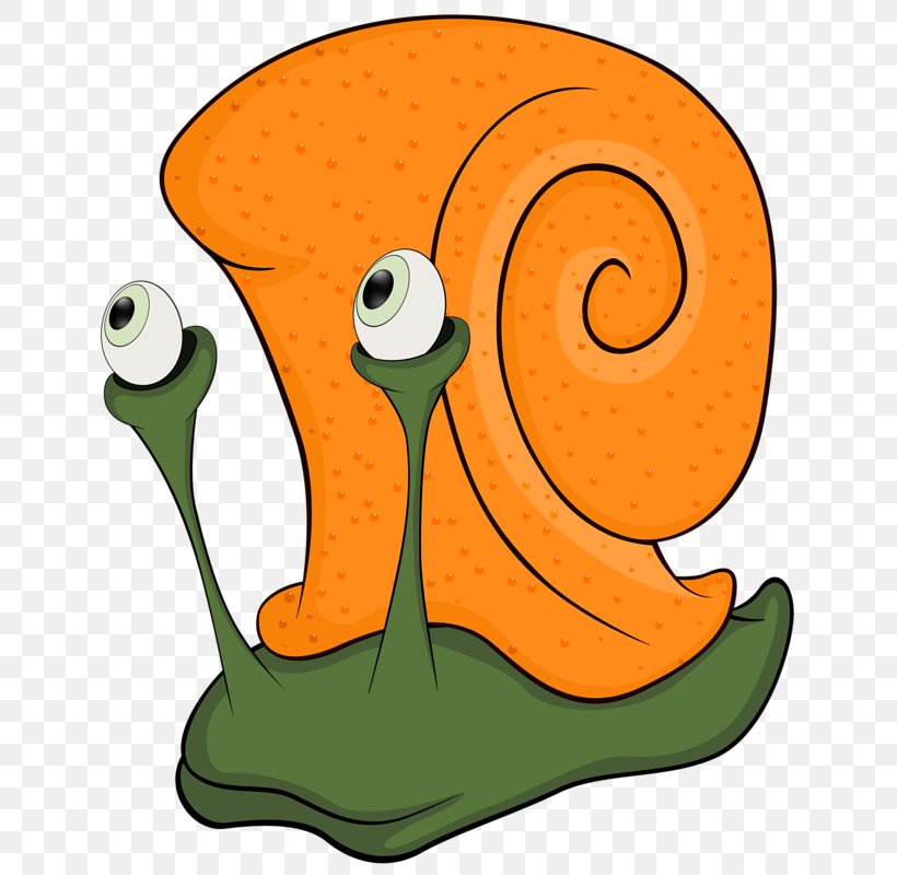 Snail Cartoon Animation Gastropods Clip Art, PNG, 640x800px, Snail, Animation, Beak, Cartoon, Drawing Download Free