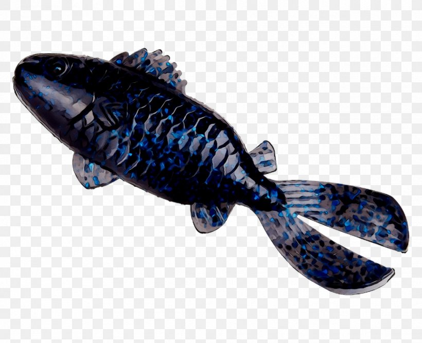 Cobalt Blue Fish, PNG, 1316x1071px, Cobalt Blue, Blue, Carp, Cobalt, Fish Download Free
