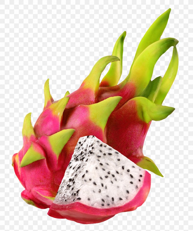 Ice Cream Juice Smoothie Pitaya Fruit, PNG, 1900x2283px, Ice Cream, Auglis, Chocolate, Cooking, Cut Flowers Download Free