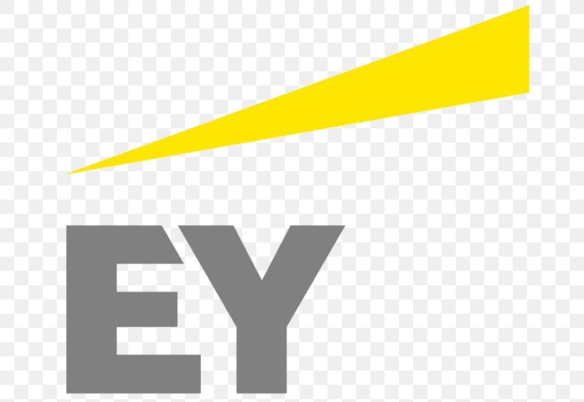 Logo Ernst & Young, Papua New Guinea Brand Audit Risk, PNG, 672x564px, Logo, Audit, Audit Risk, Brand, Diagram Download Free