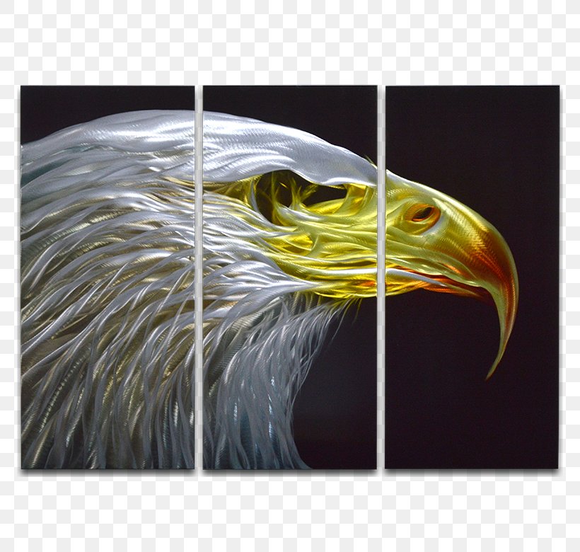 Bald Eagle Snakes And Ladders Beak Margarita, PNG, 780x780px, Bald Eagle, Art, Beak, Bird, Bird Of Prey Download Free