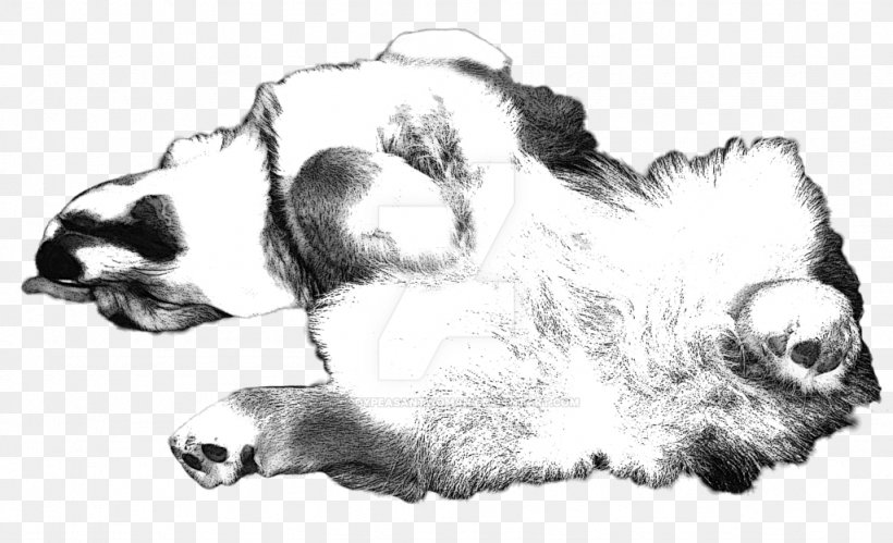 Dog Breed Cat Puppy Non-sporting Group, PNG, 1024x624px, Dog Breed, Artwork, Black And White, Breed, Breed Group Dog Download Free