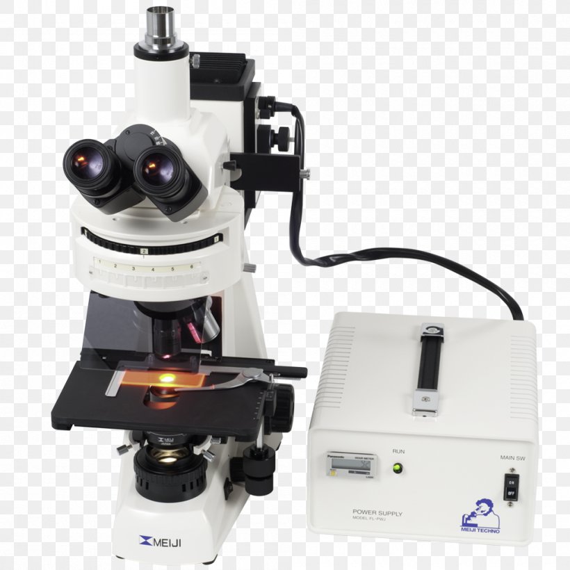 Fluorescence Microscope Optical Instrument Microscopy, PNG, 1000x1000px, Microscope, Brightfield Microscopy, Cell, Cell Sorting, Fluorescence Download Free