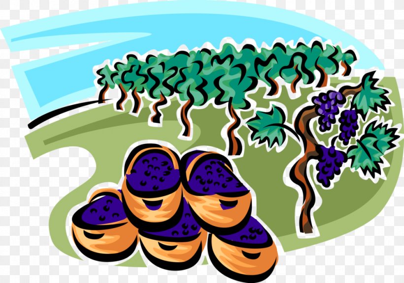 Fruit Tree, PNG, 995x700px, Fruit, Blueberry, Footwear, Plant, Shoe Download Free