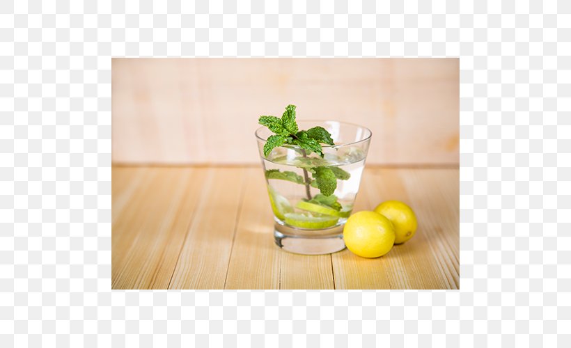 Mojito Limeade Cocktail Garnish Mint Julep Spritzer, PNG, 500x500px, Mojito, Cocktail, Cocktail Garnish, Drink, Garnish Download Free