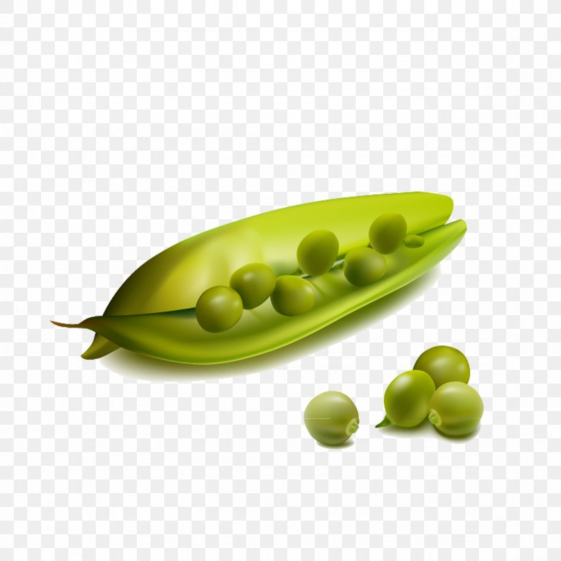 Snap Pea Vegetable Clip Art, PNG, 2362x2362px, Pea, Bell Pepper, Food, Fruit, Ingredient Download Free