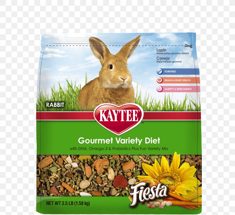 Chinchilla Rabbit Food Kaytee Pet, PNG, 750x750px, Chinchilla, Bird Food, Domestic Rabbit, Eating, Fauna Download Free