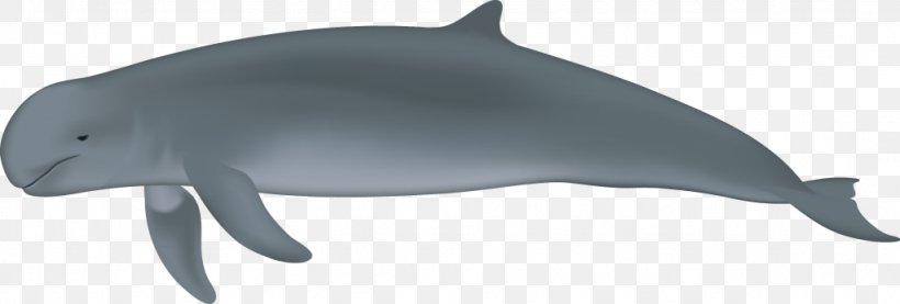 Common Bottlenose Dolphin Porpoise Tucuxi River Dolphin Irrawaddy Dolphin, PNG, 1024x347px, Common Bottlenose Dolphin, Animal Figure, Baiji, Black, Dolphin Download Free