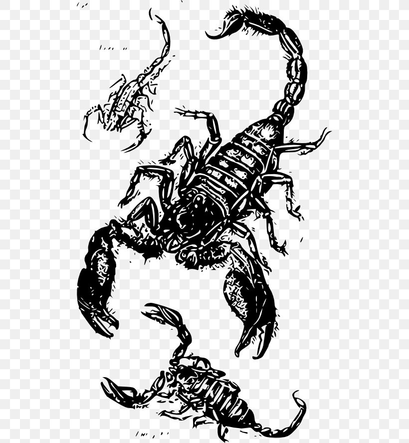 Scorpion Drawing Clip Art, PNG, 512x888px, Scorpion, Art, Arthropod, Black And White, Decapoda Download Free
