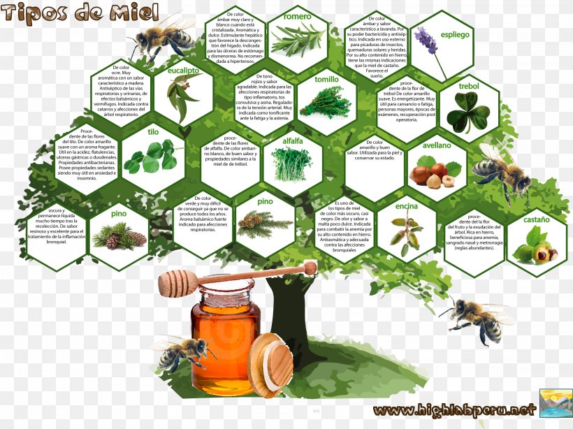 Tree Garlic Honey Plant, PNG, 2285x1712px, Tree, Animal, Book, Cartoon, Diagram Download Free