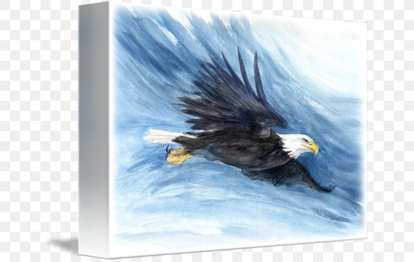 Bald Eagle Bird Flight Osprey, PNG, 650x520px, Bald Eagle, Accipitriformes, Advertising, Beak, Bird Download Free