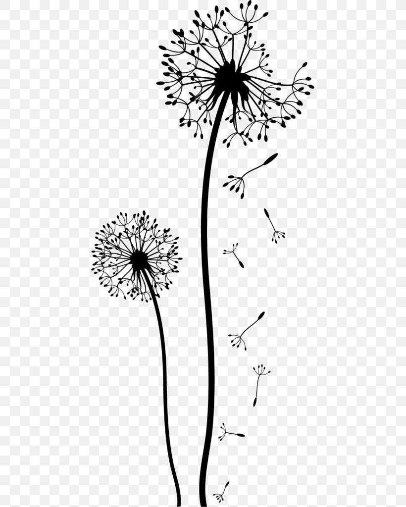 Drawing Sketch Doodle Clip Art, PNG, 451x1024px, Drawing, Art, Blackandwhite, Botany, Common Dandelion Download Free
