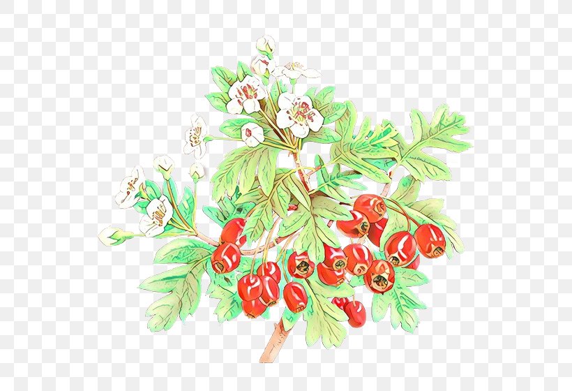 Flowers Background, PNG, 600x560px, Floral Design, Artificial Flower, Blossom, Bouquet, Branch Download Free