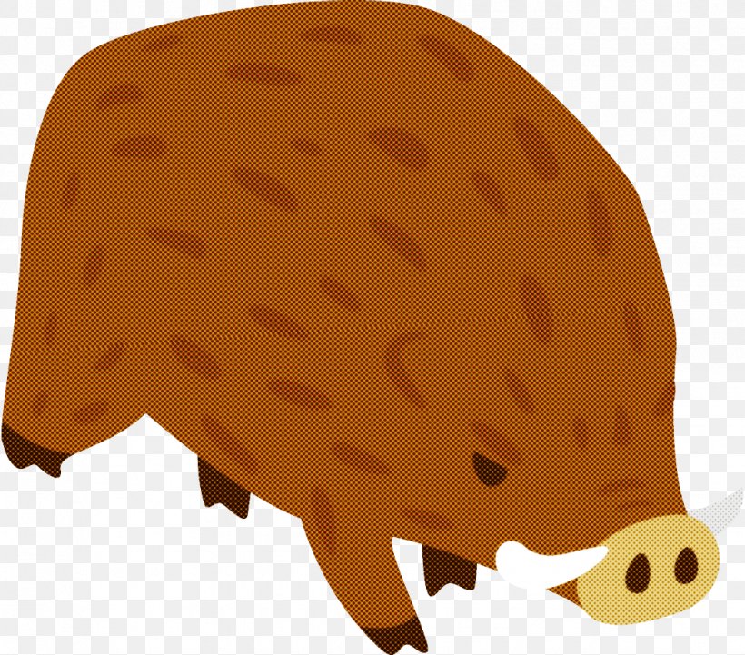 Hedgehog Snout Boar, PNG, 1028x904px, Hedgehog, Boar, Snout Download Free