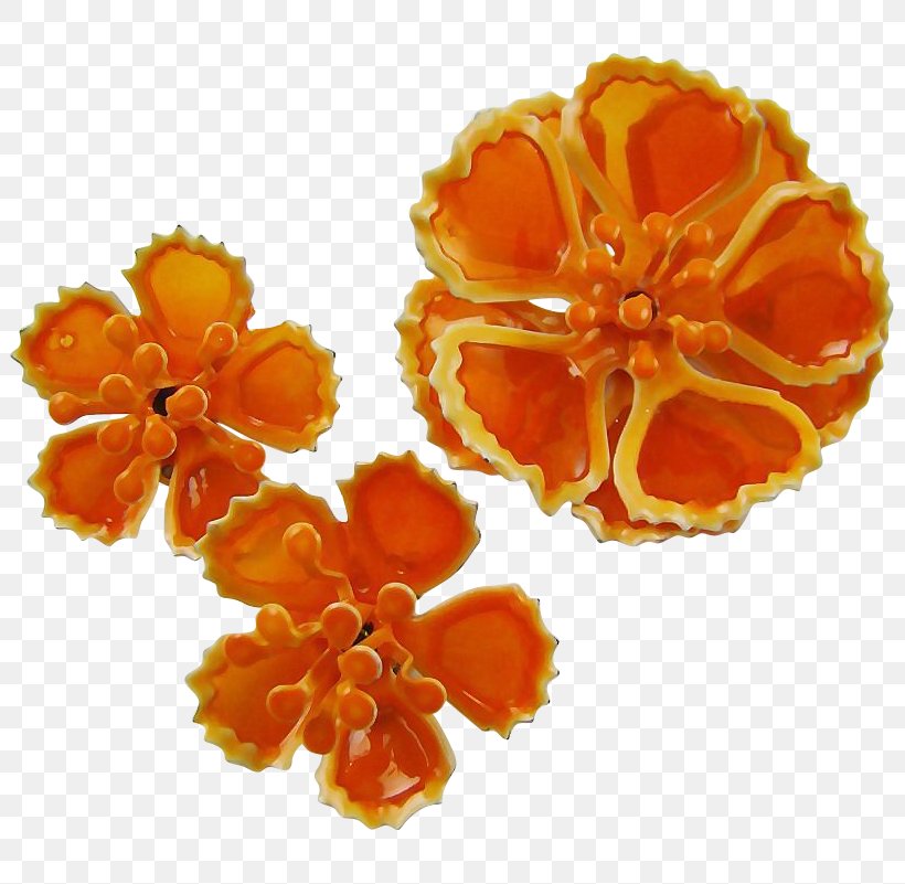 Cut Flowers Petal, PNG, 801x801px, Cut Flowers, Flower, Orange, Petal Download Free