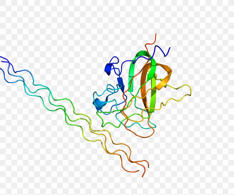 Discoidin Domain-containing Receptor 2 Receptor Tyrosine Kinase Protein, PNG, 1200x1000px, Watercolor, Cartoon, Flower, Frame, Heart Download Free