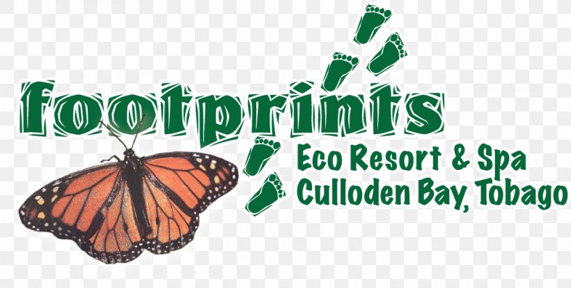Monarch Butterfly Footprints Eco Resort & Spa Brush-footed Butterflies, PNG, 1036x522px, Monarch Butterfly, Arthropod, Brand, Brush Footed Butterfly, Brushfooted Butterflies Download Free