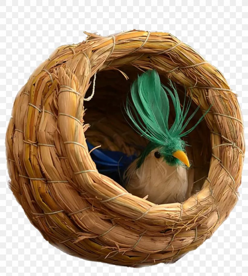 Bird Budgerigar True Parrot Nest, PNG, 1080x1200px, Bird, Animal, Basket, Bird Nest, Birdcage Download Free