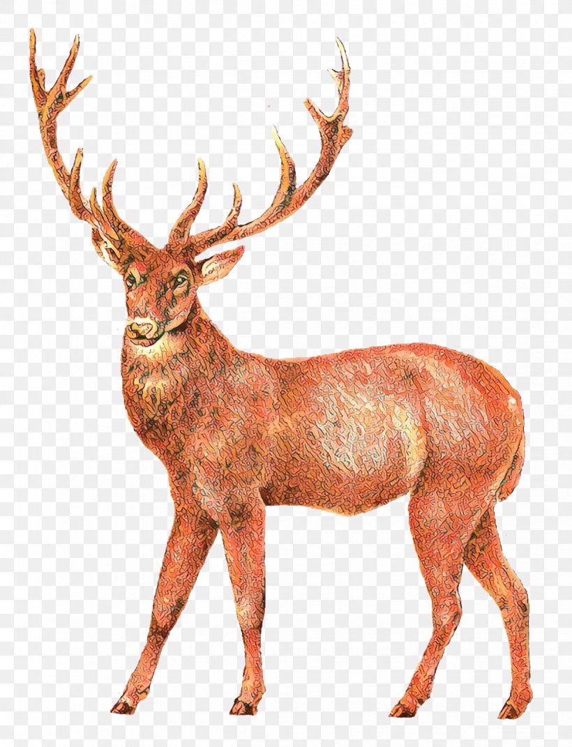 Deer Clip Art Elk Moose, PNG, 1224x1600px, Deer, Antelope, Antler, Elk, Fawn Download Free