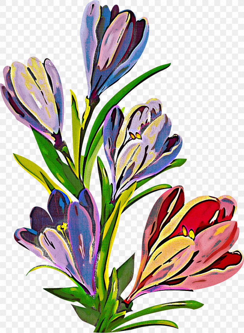 Flower Plant Crocus Petal, PNG, 831x1134px, Flower, Crocus, Petal, Plant Download Free
