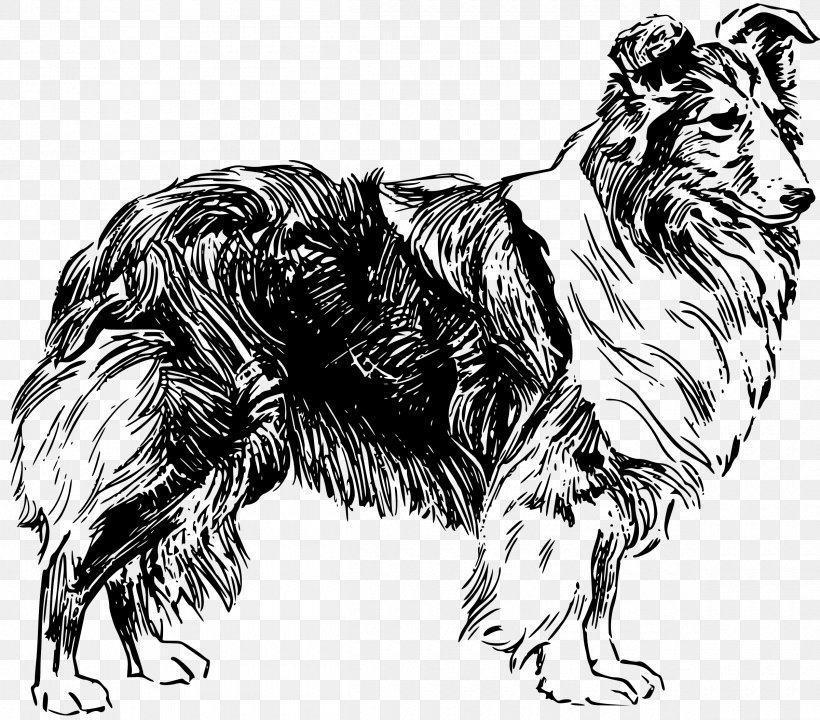 Old English Sheepdog Shetland Sheepdog Clip Art, PNG, 2400x2109px, Old English Sheepdog, Art, Big Cats, Black And White, Carnivoran Download Free