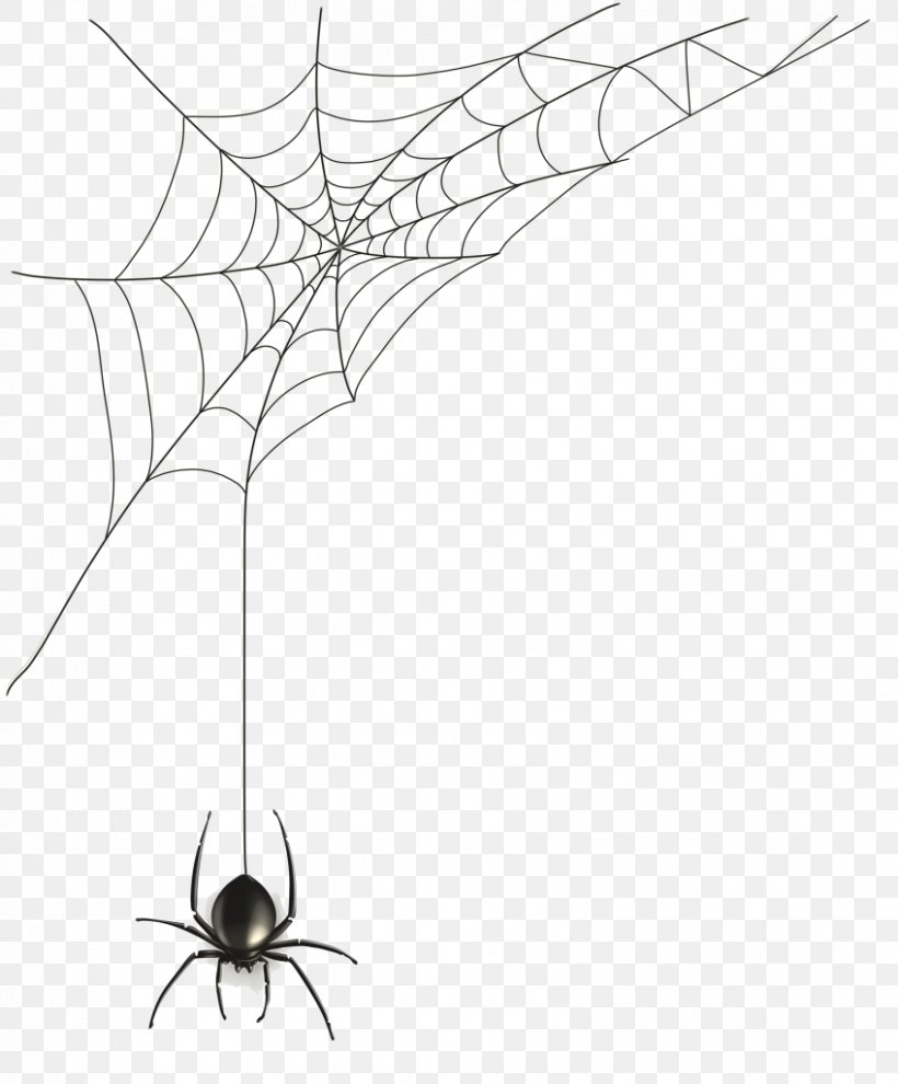 Spider Web Clip Art, PNG, 848x1024px, Spider, Arachnid, Arthropod, Artwork, Black And White Download Free