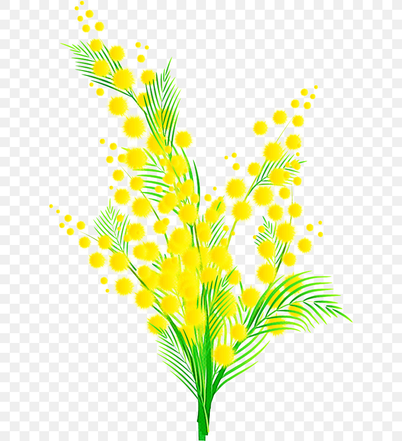 Yellow Leaf Plant Grass Flower, PNG, 621x900px, Yellow, Branch, Flower, Grass, Leaf Download Free