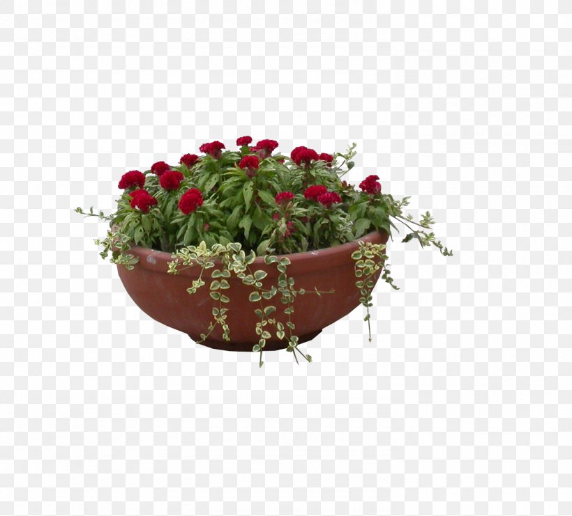 Garden Roses Bonsai Flowerpot Gratis, PNG, 1485x1343px, Garden Roses, Bonsai, Cut Flowers, Flora, Floral Design Download Free