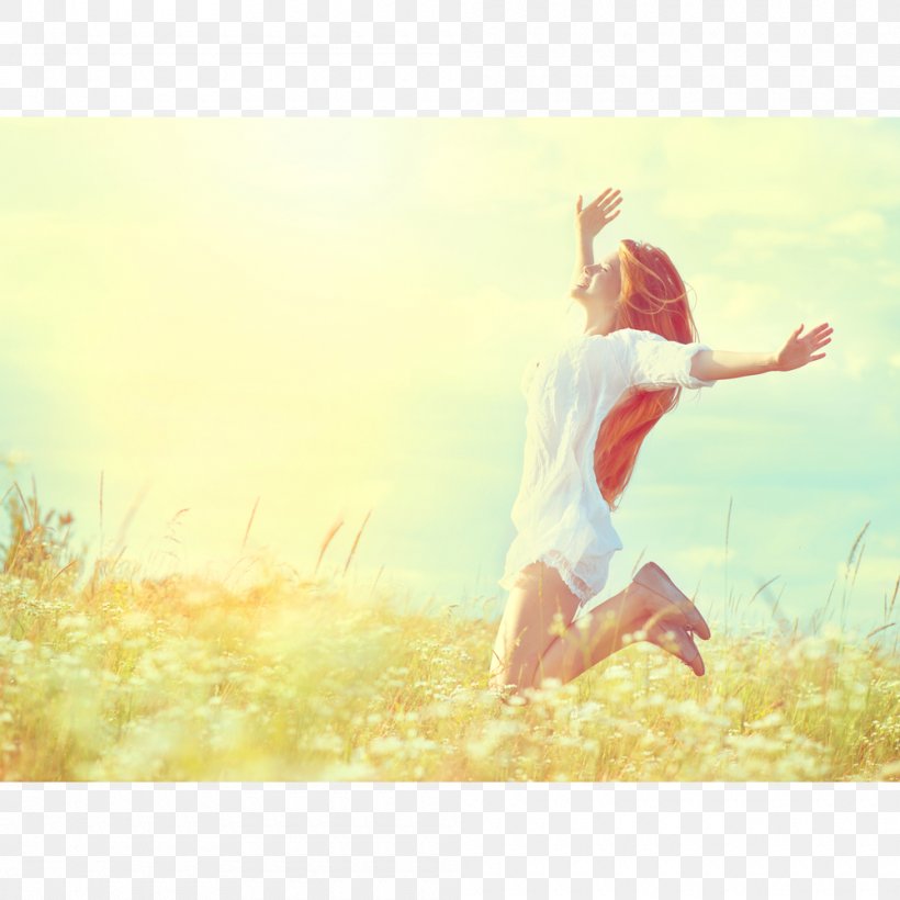 Happiness Spirit Royalty-free Stock Photography, PNG, 1000x1000px, Happiness, Consciousness, Feeling, Field, Good Download Free