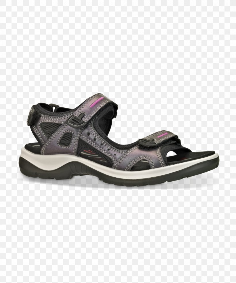 Sandal ECCO Shoe Norway Blue, PNG, 1000x1200px, Sandal, Ankle, Blue, Cross Training Shoe, Ecco Download Free