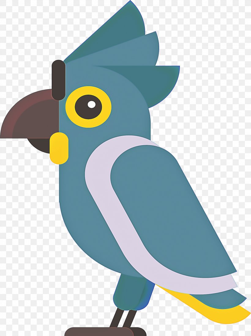 Bird Beak Clip Art Parrot, PNG, 2241x3000px, Bird, Beak, Parrot Download Free