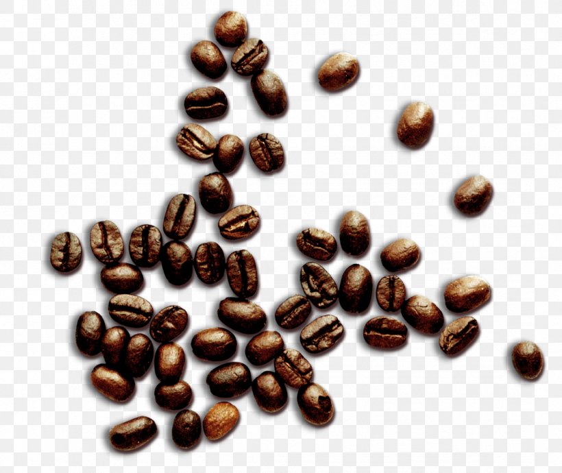 Jamaican Blue Mountain Coffee Cafe Common Bean Coffee Bean, PNG, 1083x912px, Coffee, Arabica Coffee, Bean, Cafe, Caffeine Download Free
