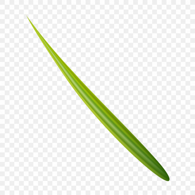 Angle, PNG, 1600x1600px, Point, Grass, Green Download Free
